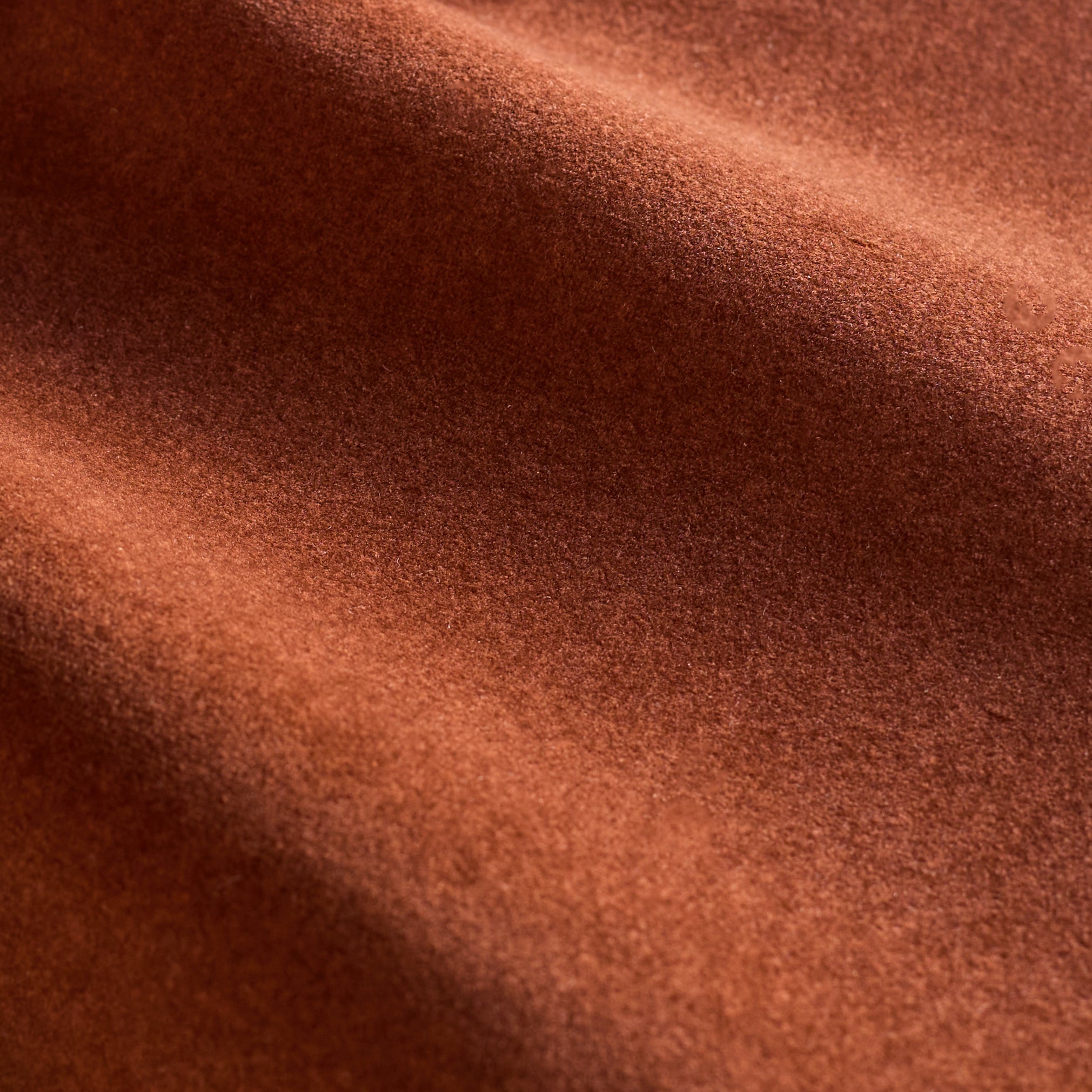 Toffee Red Smooth Plush Fabric