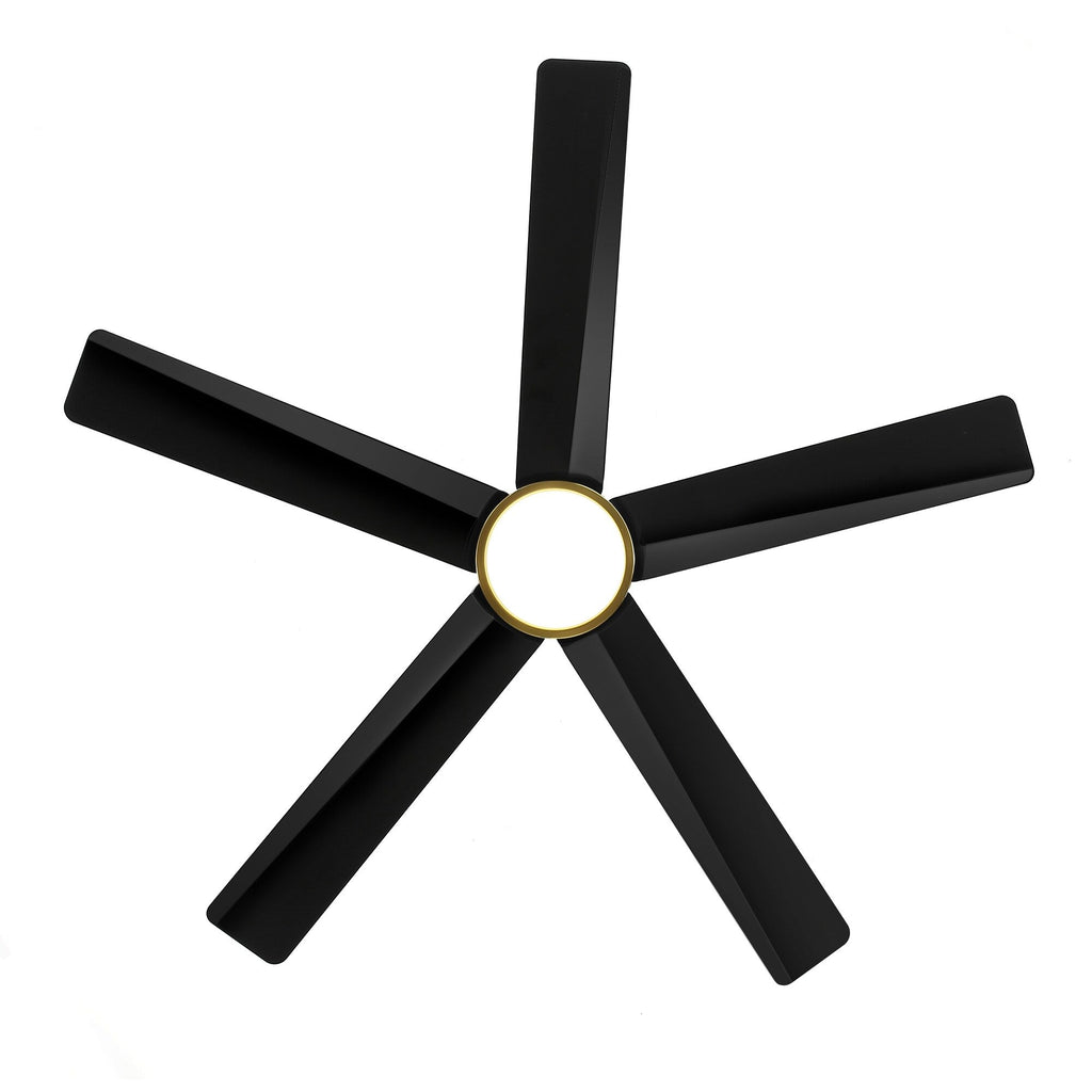 Breezary 65/52/42 5-Blade LED Ceiling Fan with Light Kit and Remote