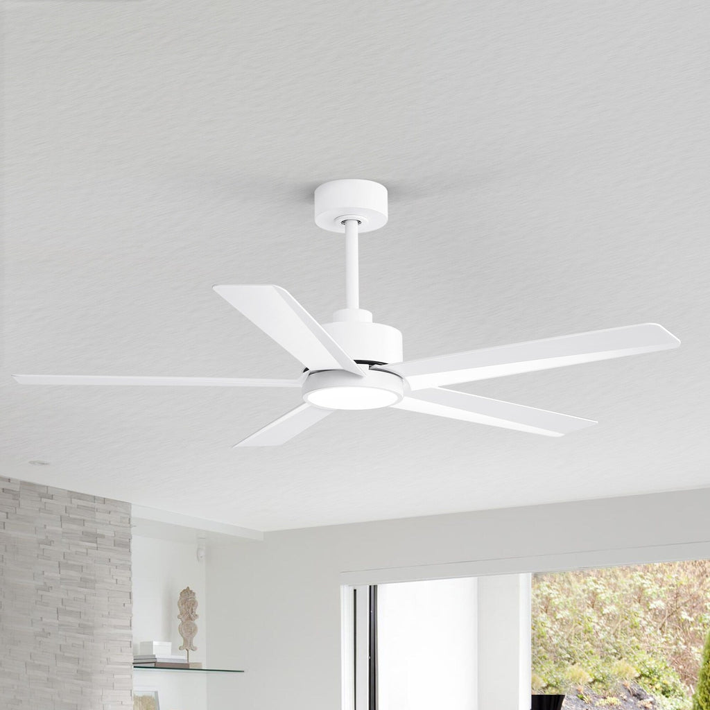 Breezary 65/52/42 5-Blade LED Ceiling Fan with Light Kit and Remote