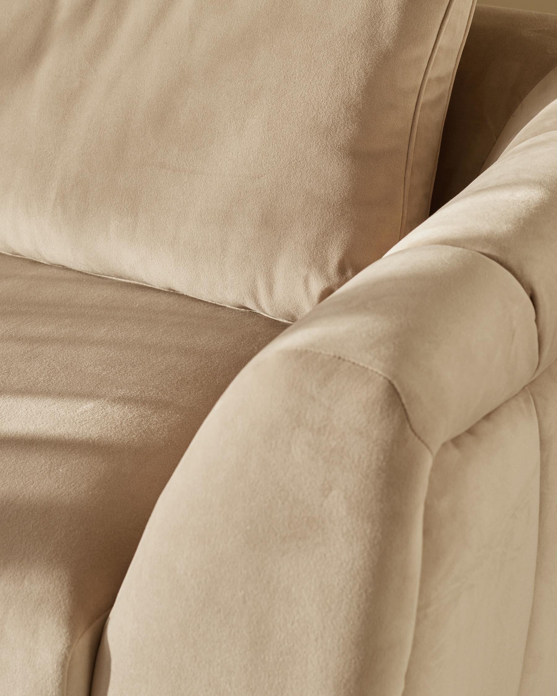 Genevieve champagne velvet 2 seater sofa with wooden leg