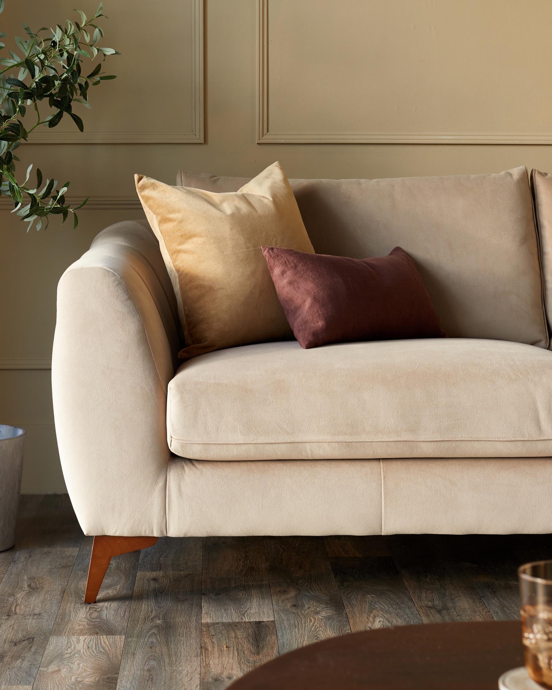 Genevieve champagne velvet 2 seater sofa with wooden leg