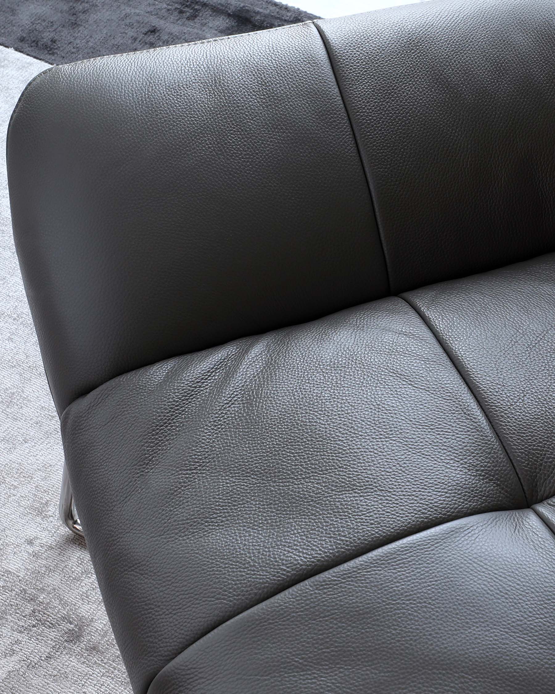 Canio Dark Grey Leather And Brushed Steel Accent Chair