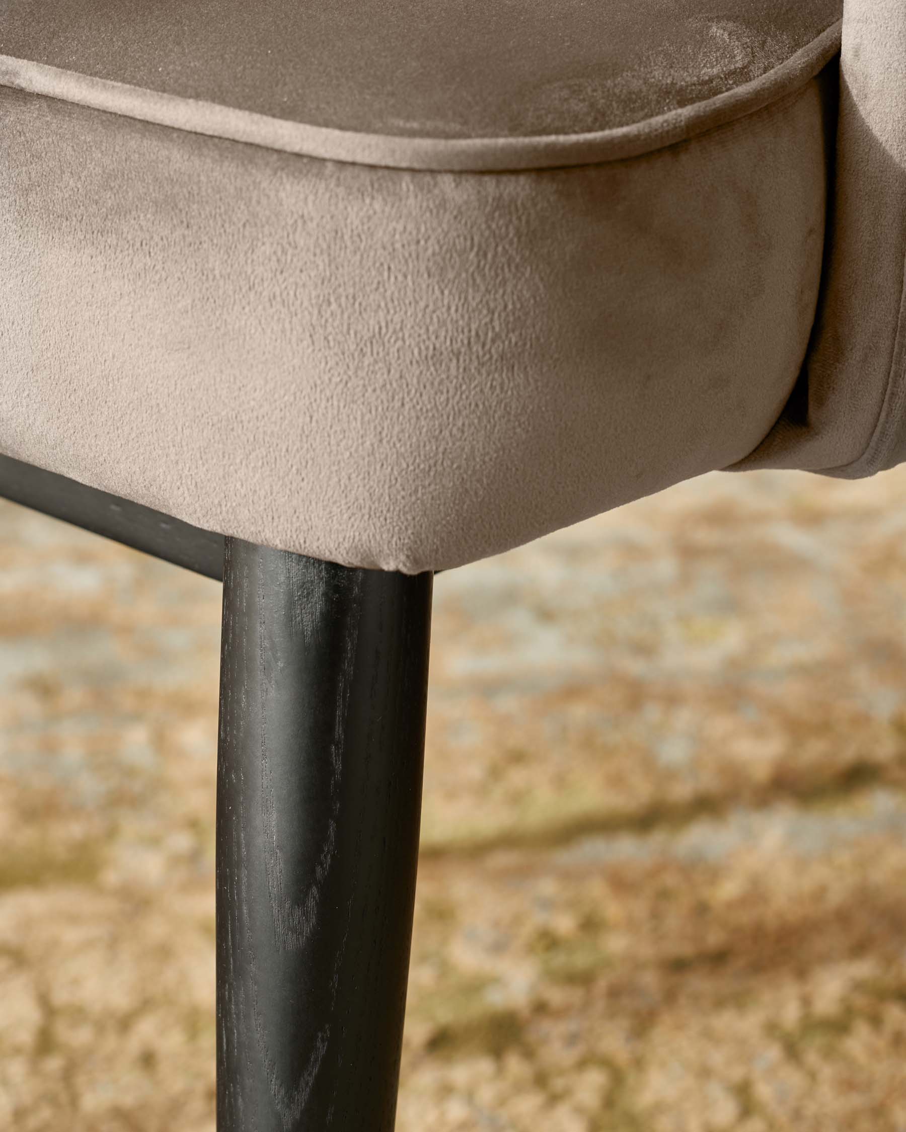 Clover Champagne Velvet & Brushed Brass Dining Armchair