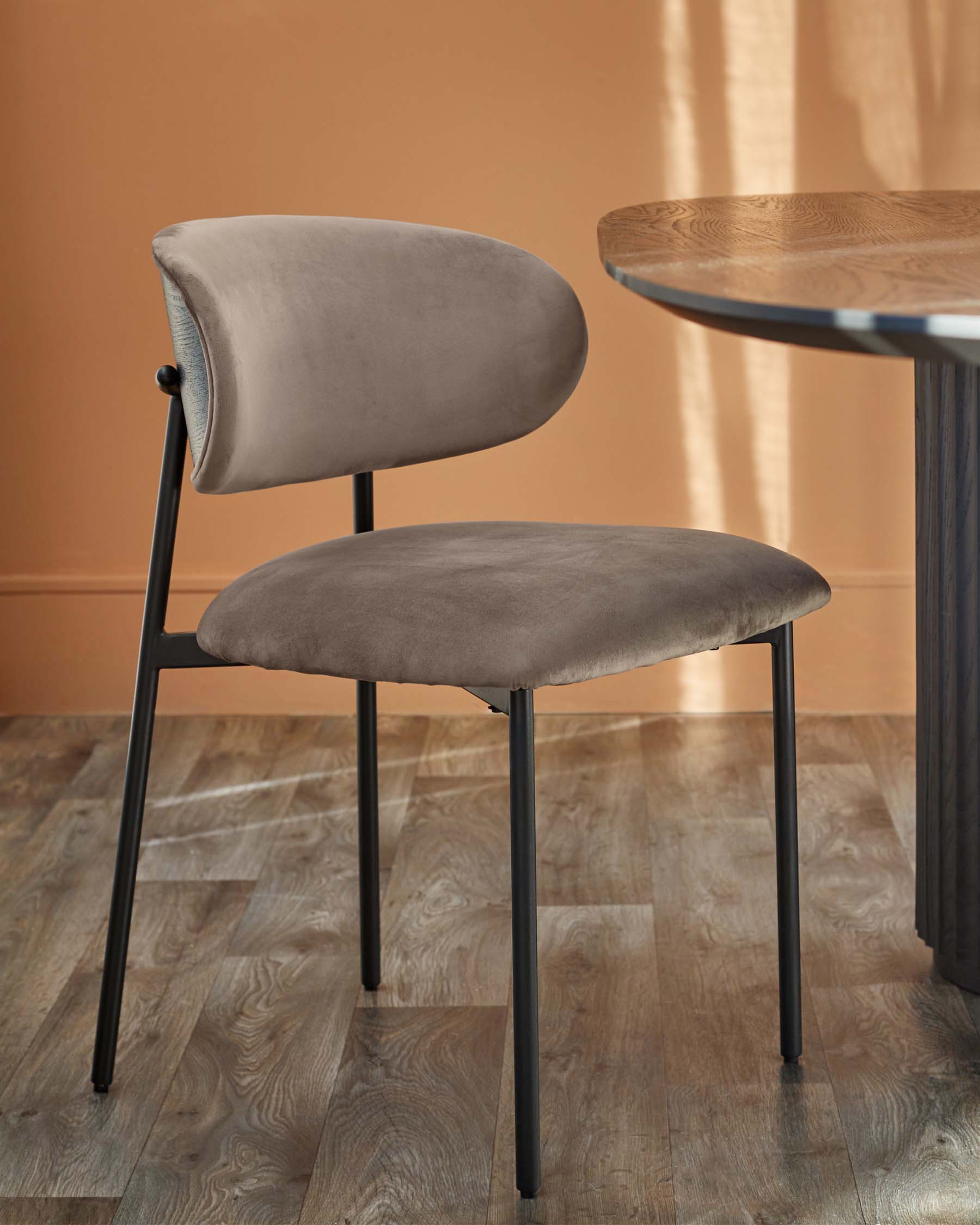 Cree mocha velvet dining chair