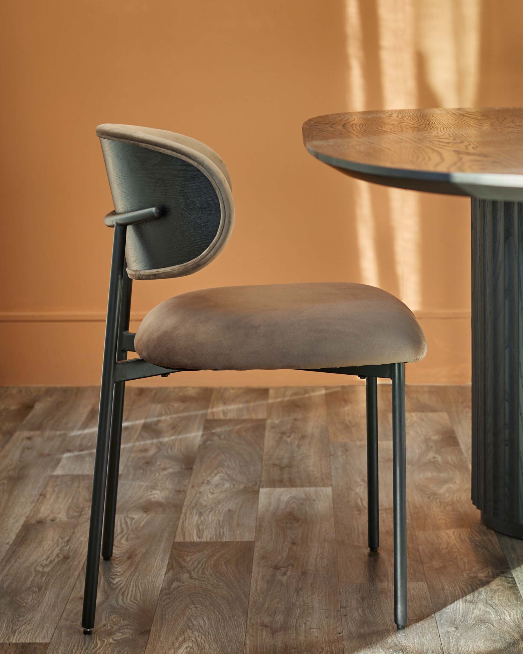 Cree mocha velvet dining chair