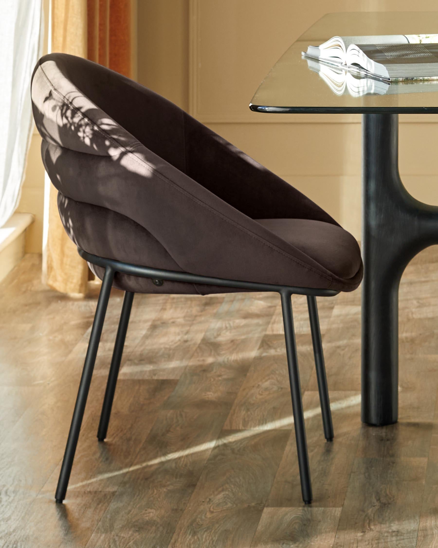 Phoebe dark mocha velvet dining chair