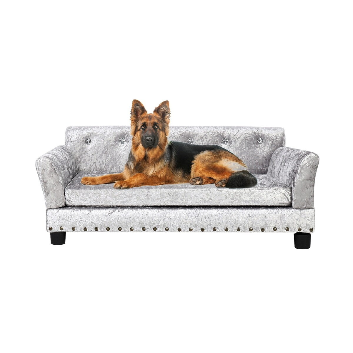 Velvet Tufted Couch Pet Bed Upholstered with Removable Cushion