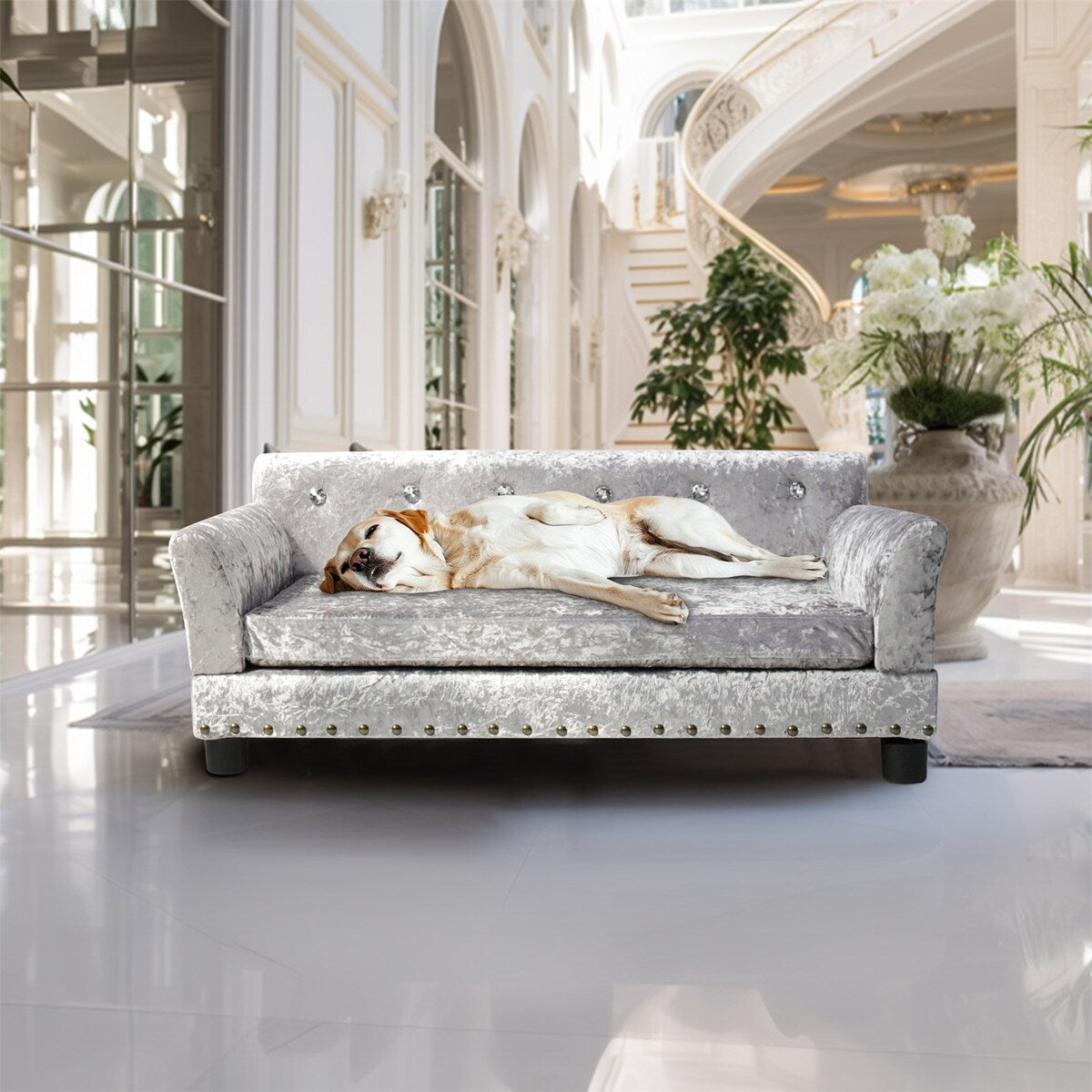 Velvet Tufted Couch Pet Bed Upholstered with Removable Cushion