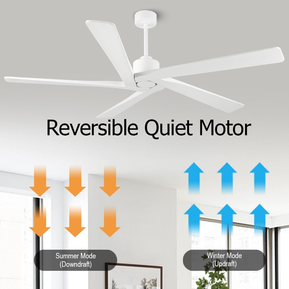 WINGBO 54 Inch DC Motor Indoor Ceiling Fan without Lights - N/A