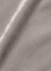 Champagne Plush Velvet 2